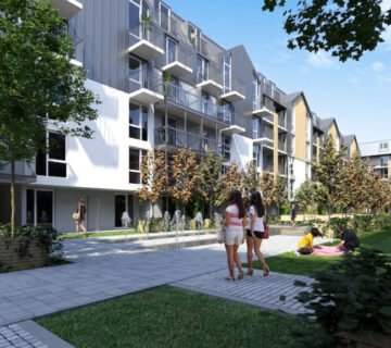 Риэлтор в познани